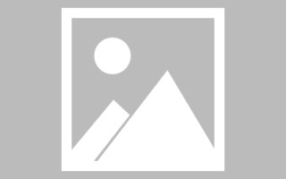 神农架肇庆教育网站建设（肇庆市教育平台登录入口）